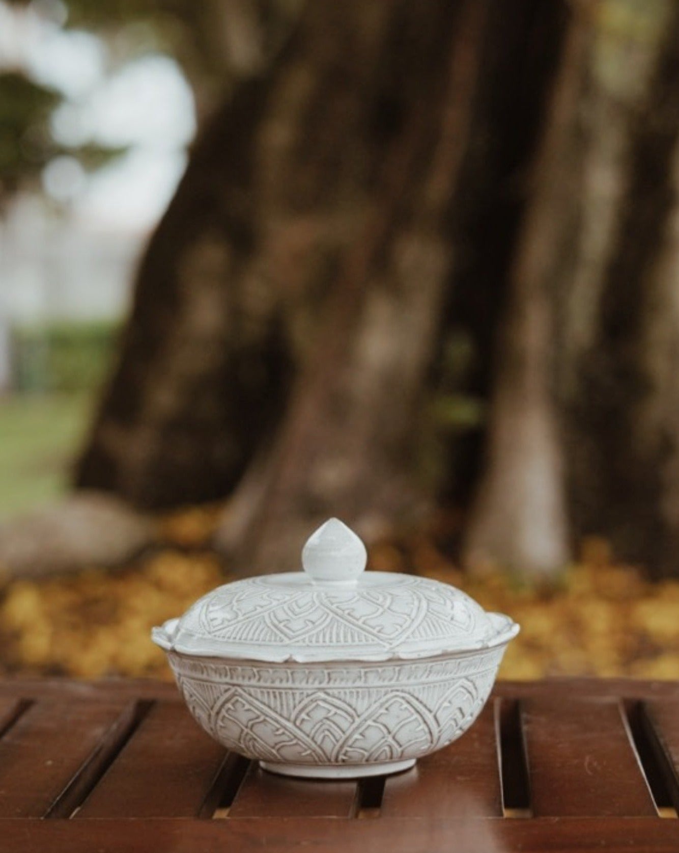 Srey | Rice pot